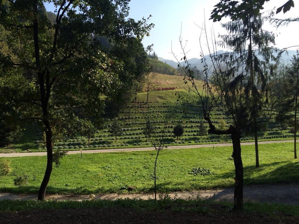 Casa Di Otello Monte San Giovanni  Luaran gambar